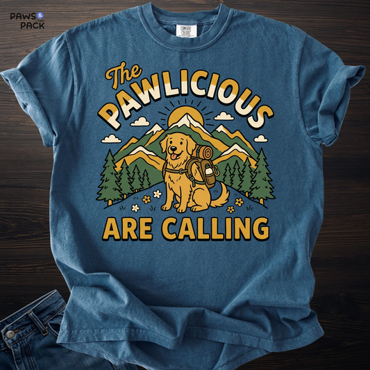 Dog Outdoor T-shirt