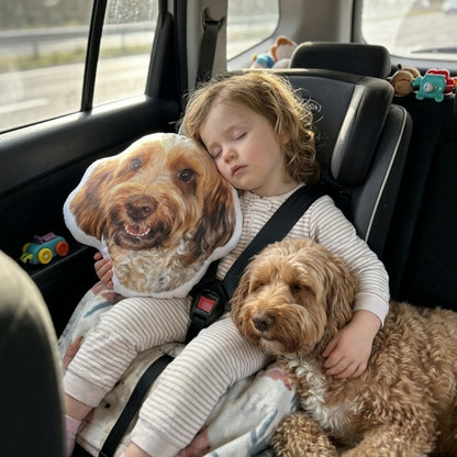 Custom Shaped Pet Portrait Pillows